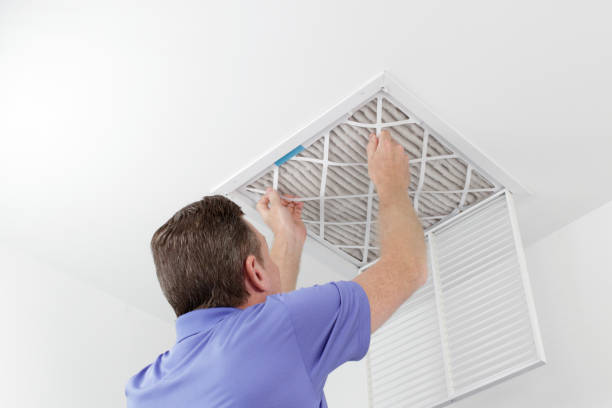 Best Affordable Duct Cleaning Services  in Spring Creek, NV